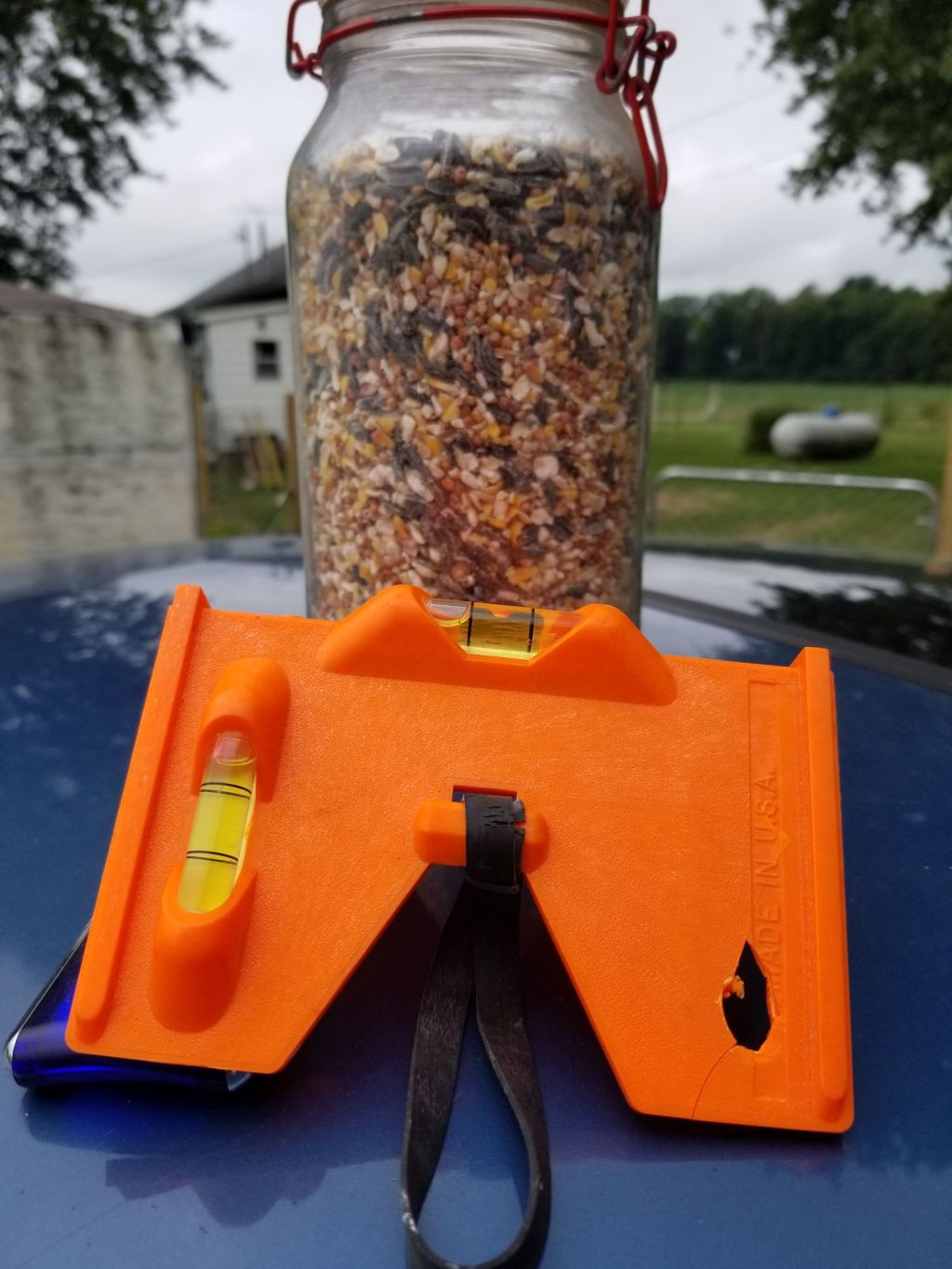 Seeds of Abomination