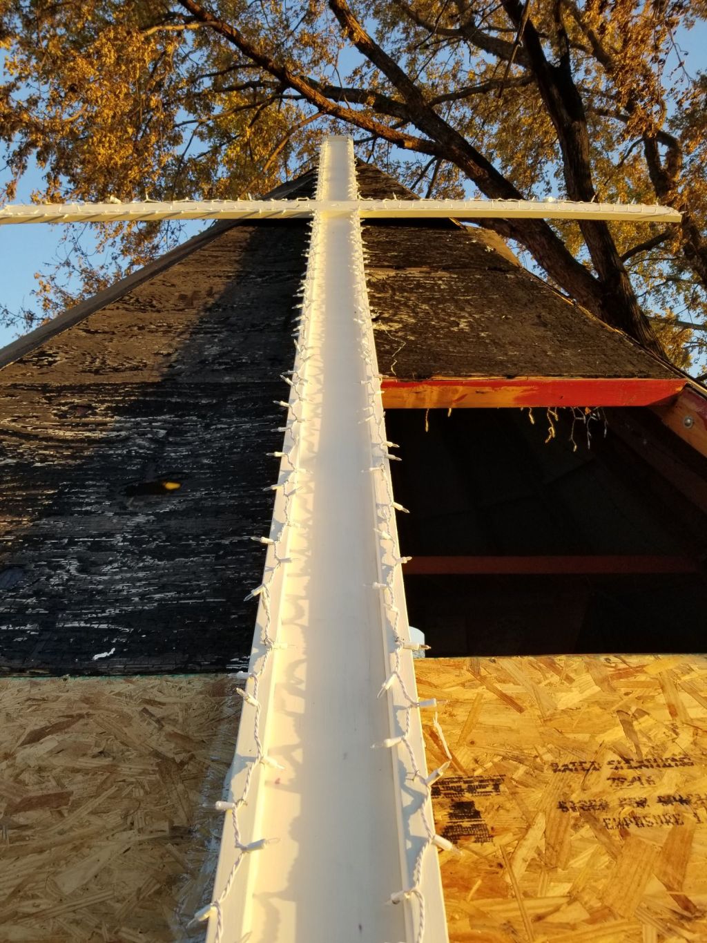 The Wisdom of&nbsp;Job